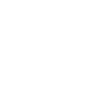 DESIGNOSAUR BRAND STUDIO