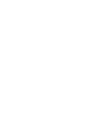 Designosaur Brand Studio